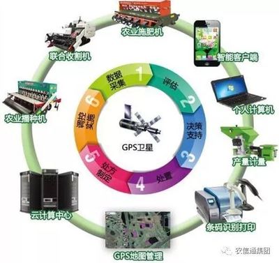 農業大數據賦能現代農業 計算機應用驅動下的跨越式發展
